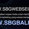 Sbgbali WEB SEO Sbgwebseo