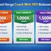 Coach Web Seo